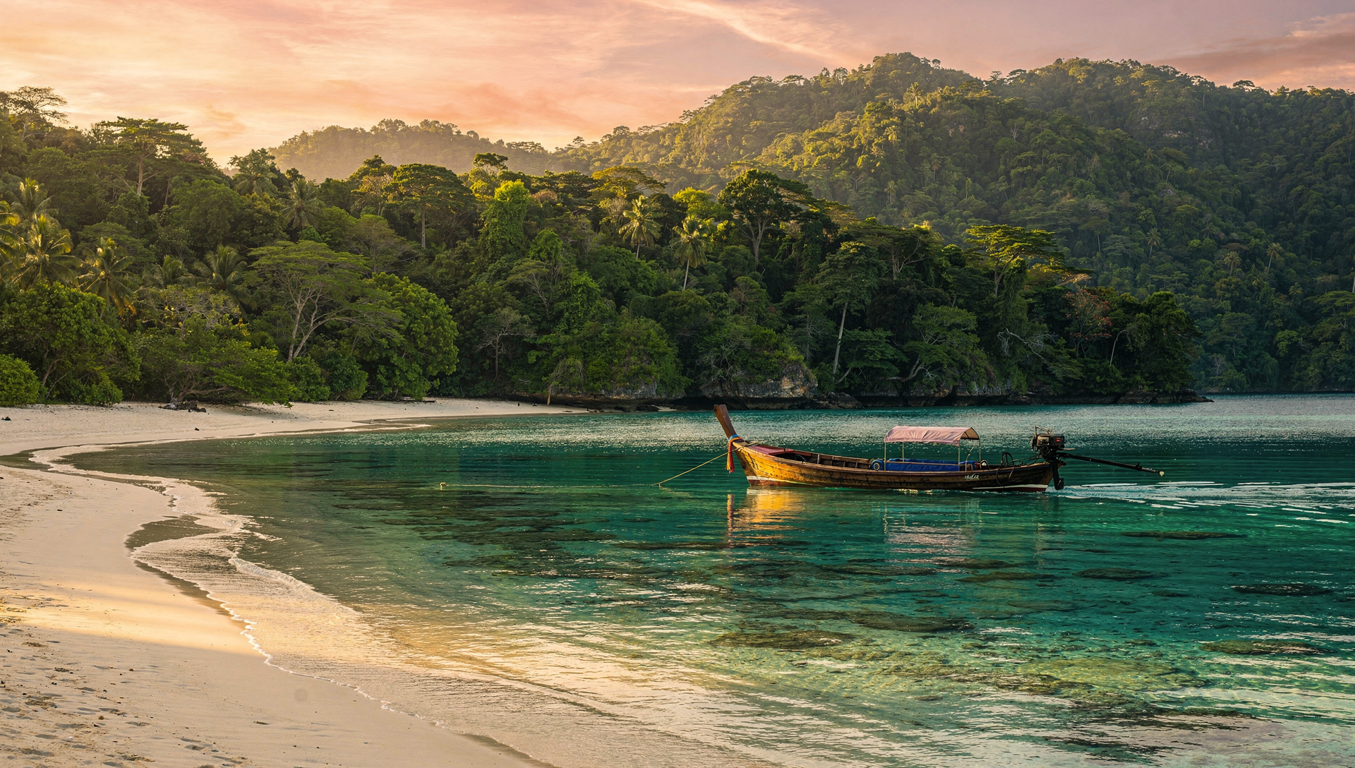 Wander — a local guide leading a small group through a lush Malaysian rainforest trail
